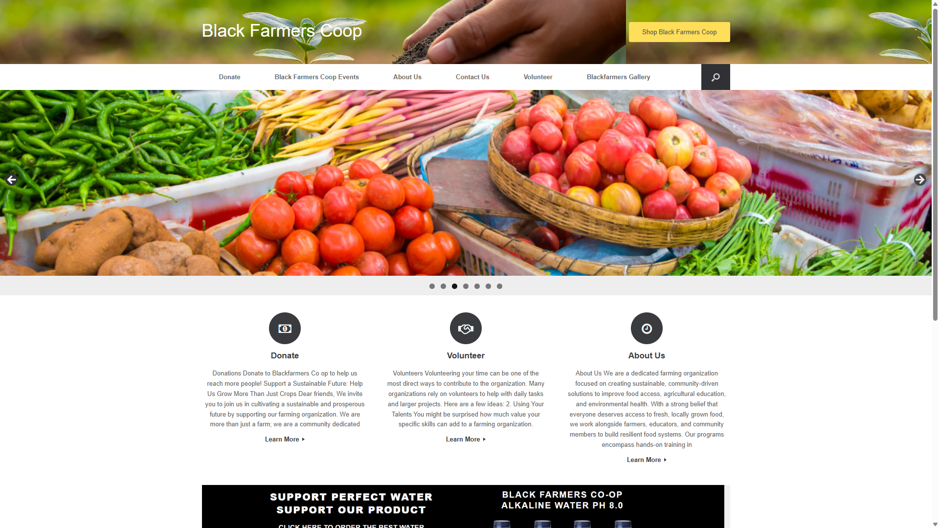Informational Website